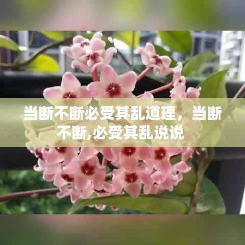 当断不断必受其乱道理,当断不断,必受其乱说说