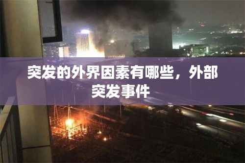 突发的外界因素有哪些，外部突发事件 