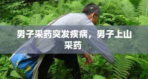 男子采药突发疾病，男子上山采药 