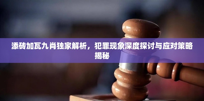 添砖加瓦九肖独家解析，犯罪现象深度探讨与应对策略揭秘