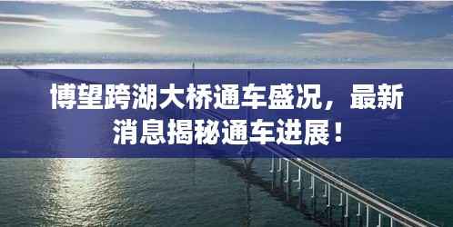 博望跨湖大桥通车盛况，最新消息揭秘通车进展！