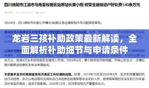 龙岩三孩补助政策最新解读，全面解析补助细节与申请条件