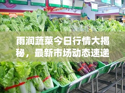 雨润蔬菜今日行情大揭秘，最新市场动态速递