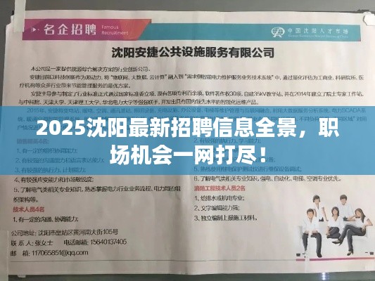 2025沈阳最新招聘信息全景，职场机会一网打尽！