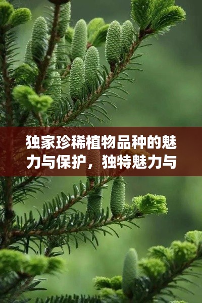独家珍稀植物品种的魅力与保护，独特魅力与院外品种探秘