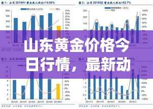 山东黄金价格今日行情，最新动态、深度分析与查询