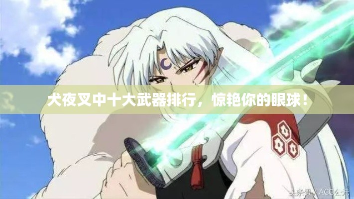 犬夜叉中十大武器排行，惊艳你的眼球！