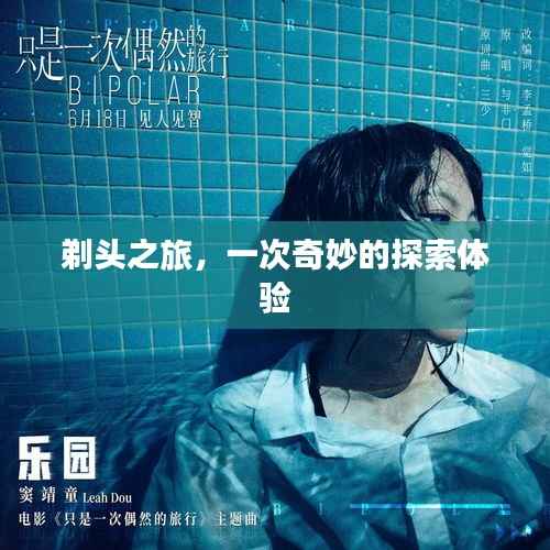 剃头之旅，一次奇妙的探索体验