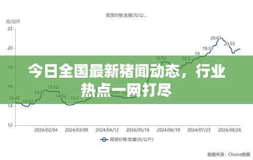 今日全国最新猪闻动态，行业热点一网打尽