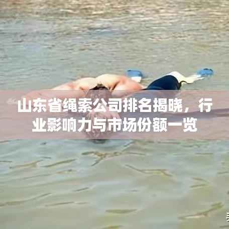 山东省绳索公司排名揭晓，行业影响力与市场份额一览
