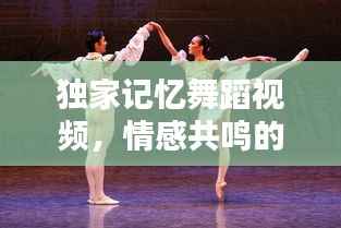 独家记忆舞蹈视频，情感共鸣的绝美舞动