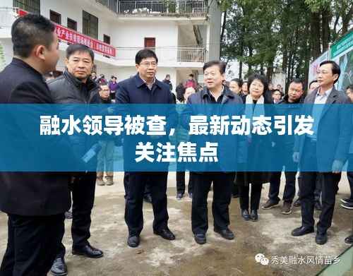 融水领导被查，最新动态引发关注焦点