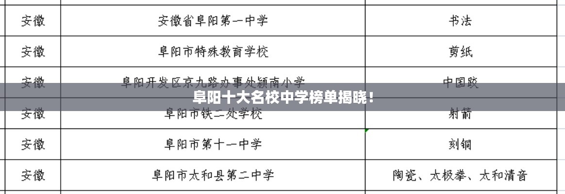 阜阳十大名校中学榜单揭晓！