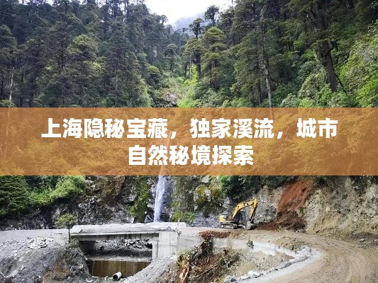 上海隐秘宝藏，独家溪流，城市自然秘境探索