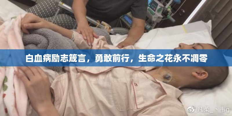 白血病励志箴言，勇敢前行，生命之花永不凋零