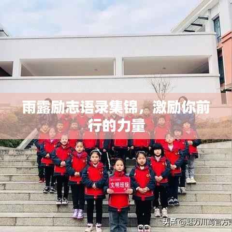 雨露励志语录集锦，激励你前行的力量