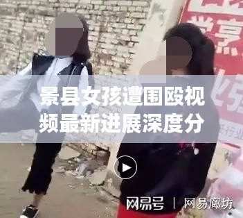景县女孩遭围殴视频最新进展深度分析