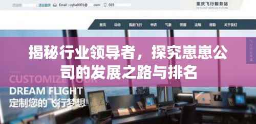 揭秘行业领导者，探究崽崽公司的发展之路与排名