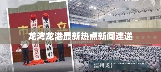 龙湾龙港最新热点新闻速递