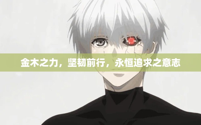 金木之力，坚韧前行，永恒追求之意志