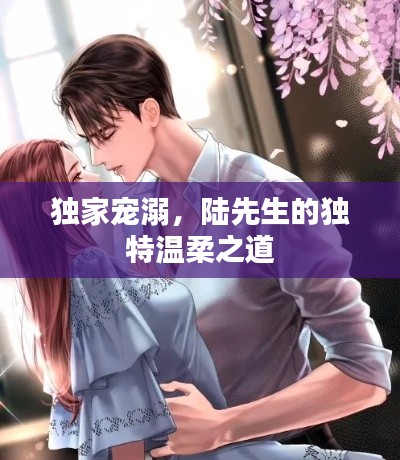 独家宠溺，陆先生的独特温柔之道