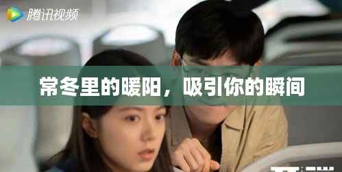 常冬里的暖阳,吸引你的瞬间