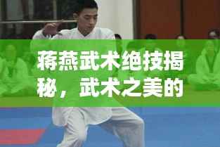 蒋燕武术绝技揭秘，武术之美的独特魅力视频欣赏