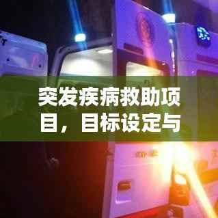 突发疾病救助项目，目标设定与实现之道