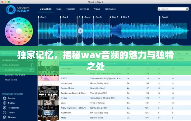 独家记忆，揭秘wav音频的魅力与独特之处