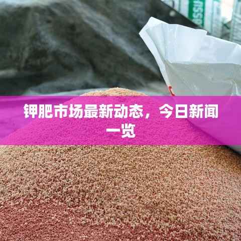 钾肥市场最新动态，今日新闻一览