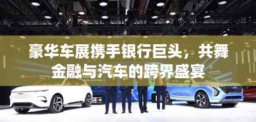 豪华车展携手银行巨头，共舞金融与汽车的跨界盛宴