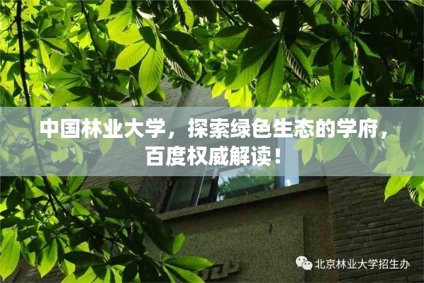 中国林业大学，探索绿色生态的学府，百度权威解读！