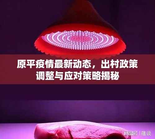 原平疫情最新动态，出村政策调整与应对策略揭秘
