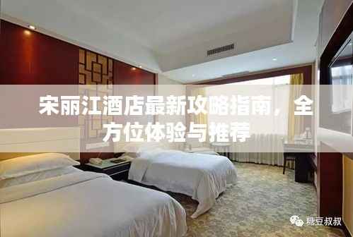 宋丽江酒店最新攻略指南，全方位体验与推荐