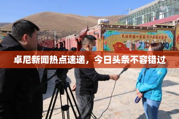 卓尼新闻热点速递，今日头条不容错过