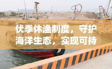 伏季休渔制度，守护海洋生态，实现可持续发展之路