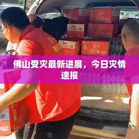 佛山受灾最新进展，今日灾情速报