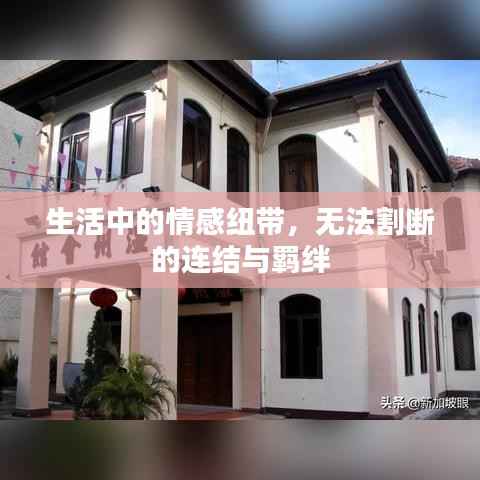 生活中的情感纽带，无法割断的连结与羁绊