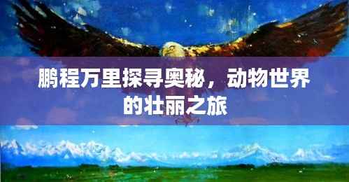 鹏程万里探寻奥秘,动物世界的壮丽之旅