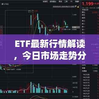 ETF最新行情解读，今日市场走势分析