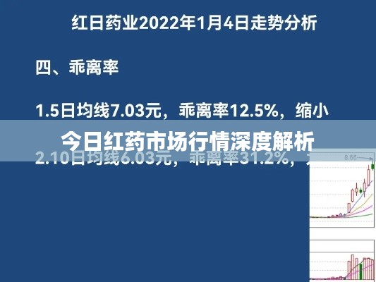 今日红药市场行情深度解析