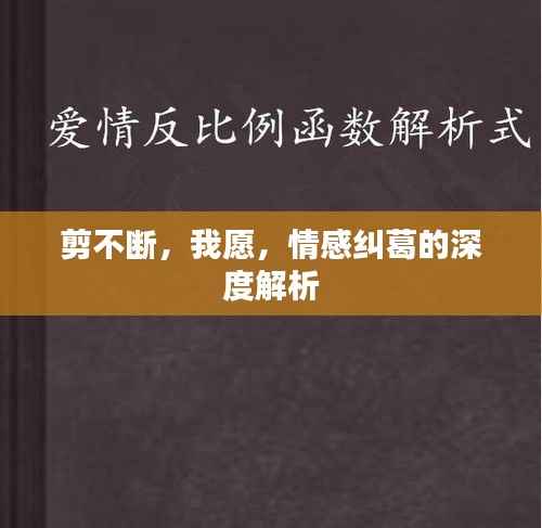 剪不断，我愿，情感纠葛的深度解析