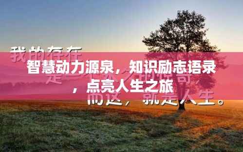 智慧动力源泉，知识励志语录，点亮人生之旅