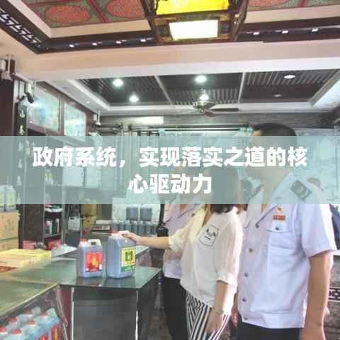 政府系统，实现落实之道的核心驱动力