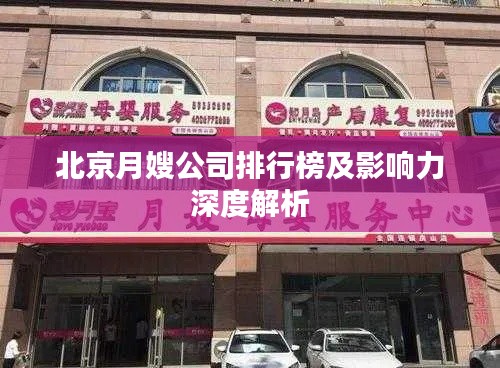 北京月嫂公司排行榜及影响力深度解析