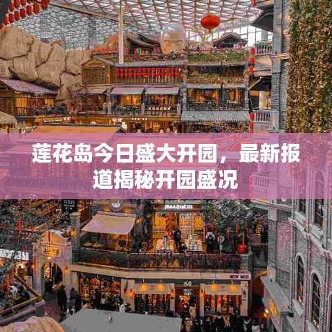 莲花岛今日盛大开园，最新报道揭秘开园盛况
