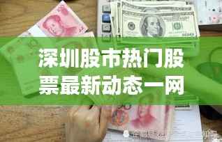 深圳股市热门股票最新动态一网打尽！