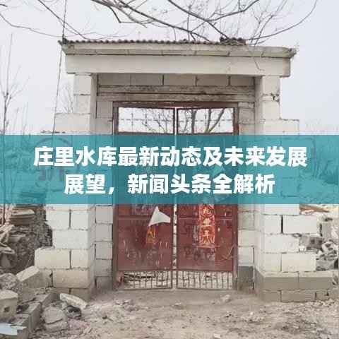 庄里水库最新动态及未来发展展望，新闻头条全解析