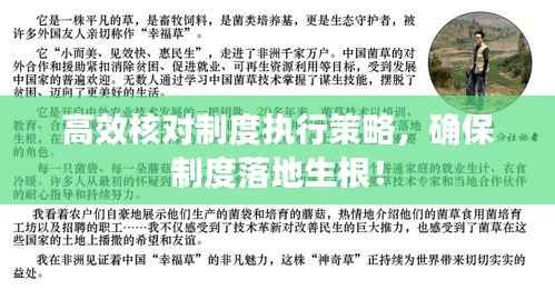 高效核对制度执行策略，确保制度落地生根！