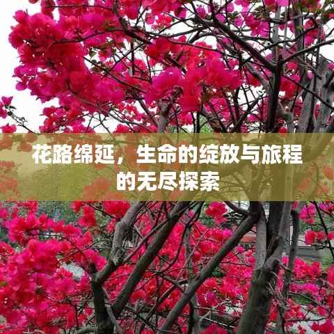 花路绵延，生命的绽放与旅程的无尽探索